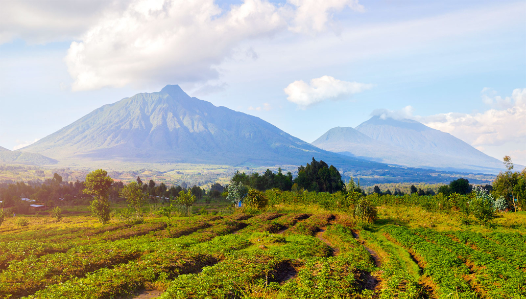 Virunga Bergkette